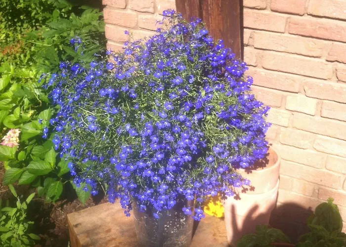 Urraum Casa de hóspedes Pulheim